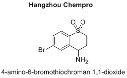 4-amino-6-bromothiochroman 1,1-dioxide